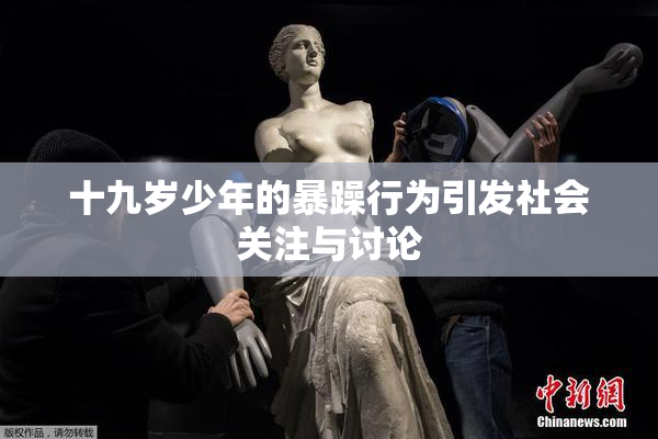 十九岁少年的暴躁行为引发社会关注与讨论