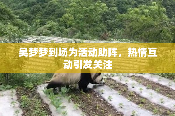 吴梦梦到场为活动助阵，热情互动引发关注