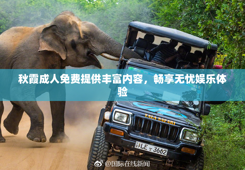 秋霞成人免费提供丰富内容，畅享无忧娱乐体验