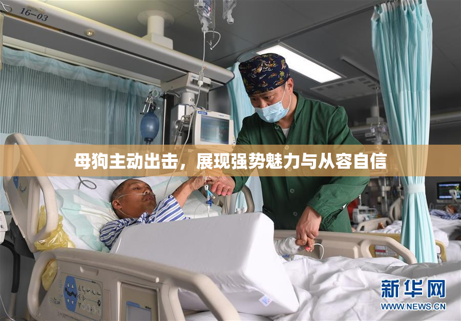 母狗主动出击，展现强势魅力与从容自信