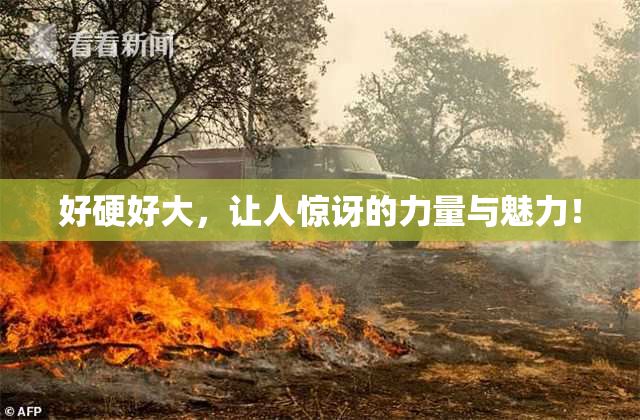 好硬好大，让人惊讶的力量与魅力！