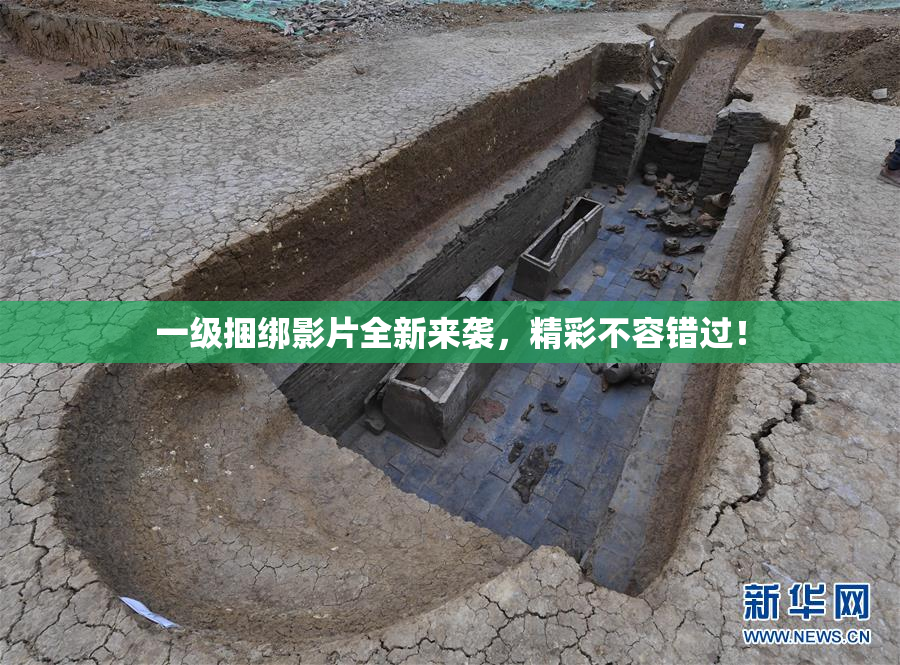 一级捆绑影片全新来袭，精彩不容错过！