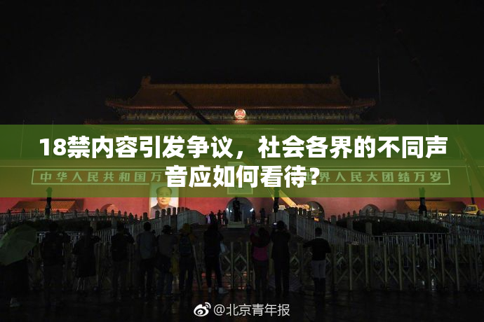 18禁内容引发争议，社会各界的不同声音应如何看待？