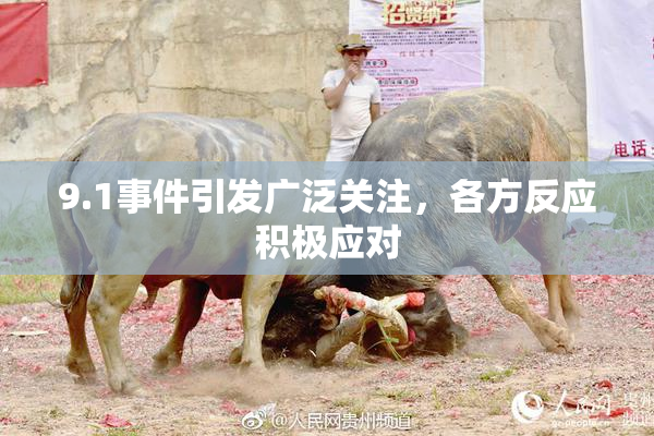 9.1事件引发广泛关注，各方反应积极应对