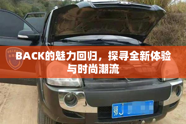 BACK的魅力回归，探寻全新体验与时尚潮流
