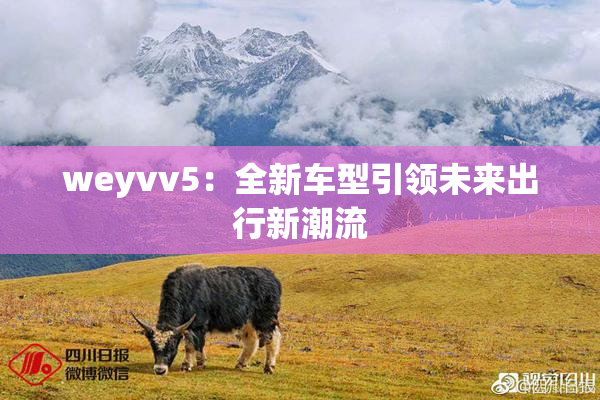 weyvv5：全新车型引领未来出行新潮流