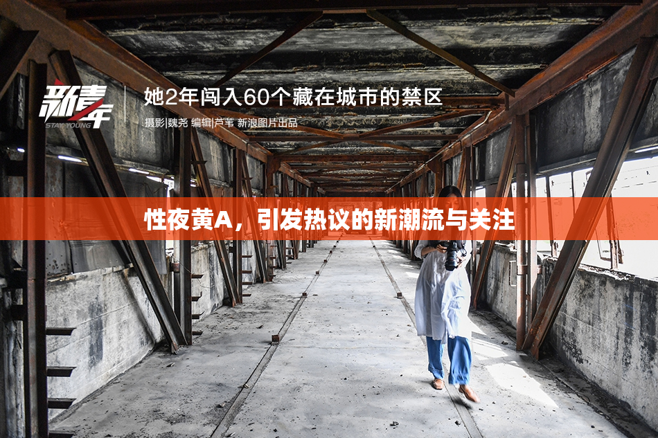 性夜黄A，引发热议的新潮流与关注