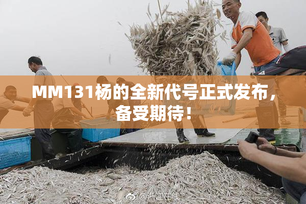 MM131杨的全新代号正式发布，备受期待！