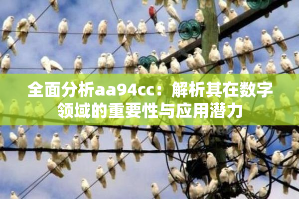 全面分析aa94cc：解析其在数字领域的重要性与应用潜力