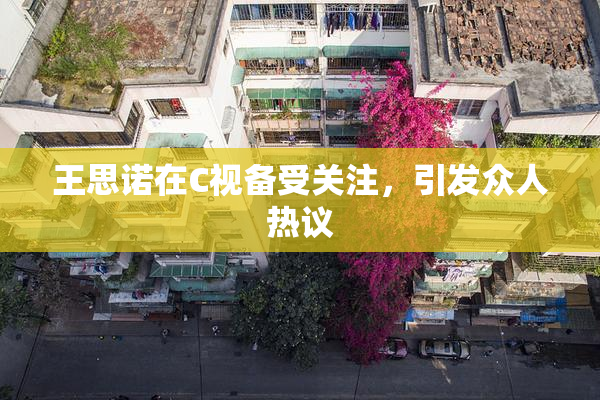 王思诺在C视备受关注，引发众人热议