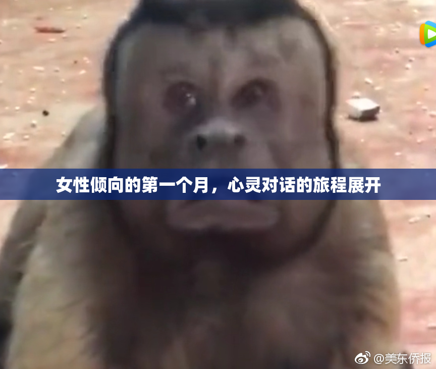 女性倾向的第一个月，心灵对话的旅程展开