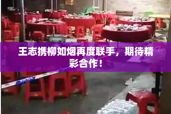 王志携柳如烟再度联手，期待精彩合作！