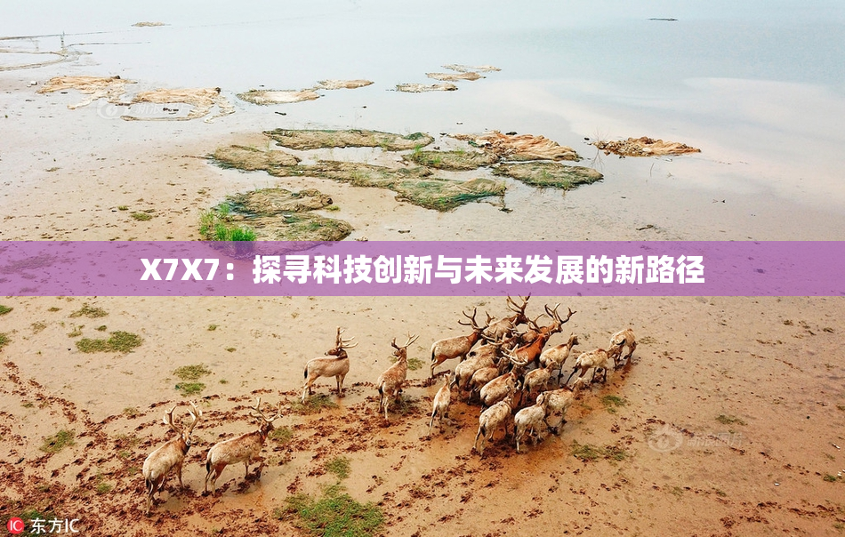 X7X7：探寻科技创新与未来发展的新路径