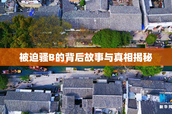 被迫骚B的背后故事与真相揭秘