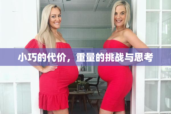 小巧的代价，重量的挑战与思考