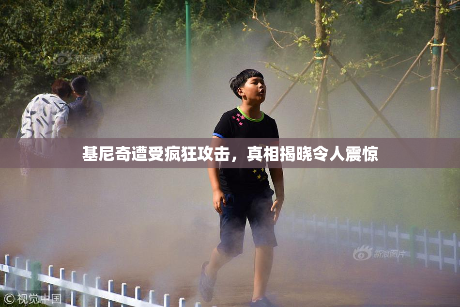 基尼奇遭受疯狂攻击，真相揭晓令人震惊