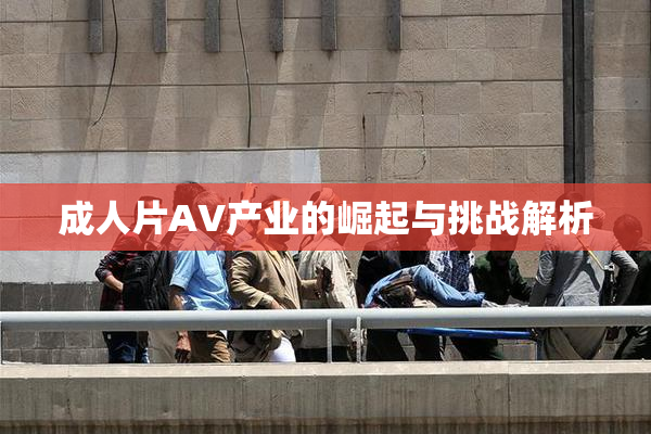成人片AV产业的崛起与挑战解析