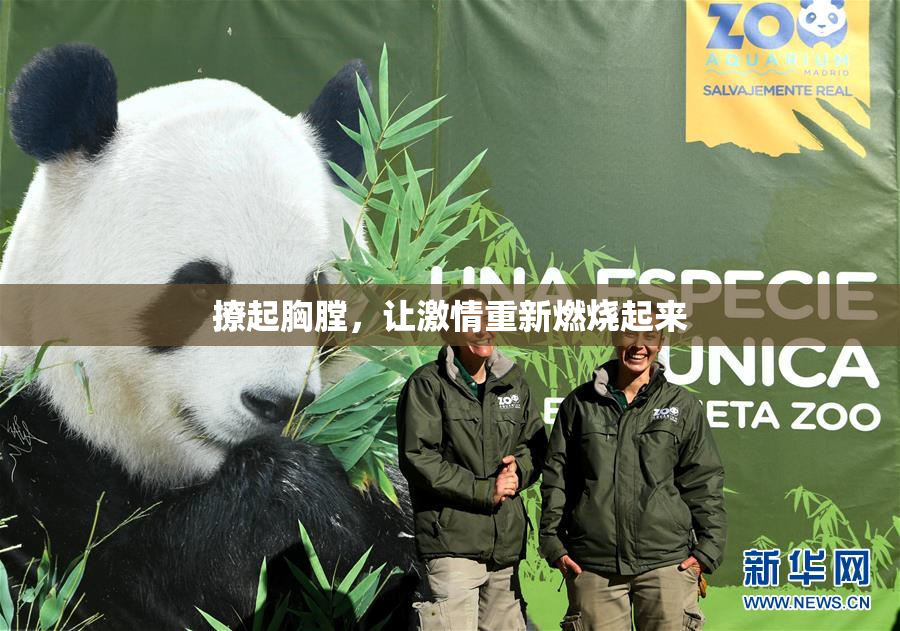 撩起胸膛，让激情重新燃烧起来