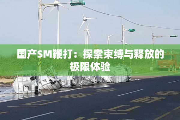 国产SM鞭打：探索束缚与释放的极限体验