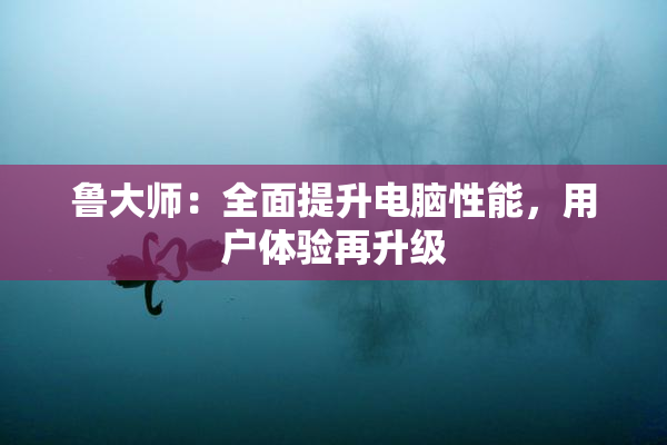 鲁大师：全面提升电脑性能，用户体验再升级