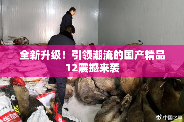 全新升级！引领潮流的国产精品12震撼来袭