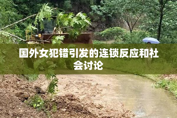 国外女犯错引发的连锁反应和社会讨论