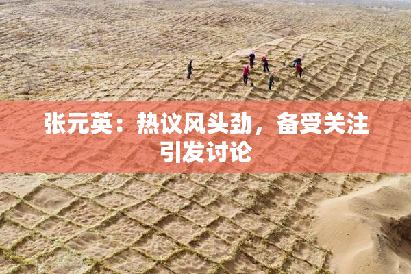 张元英：热议风头劲，备受关注引发讨论