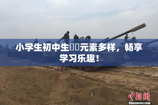 小学生初中生❌‌元素多样，畅享学习乐趣！