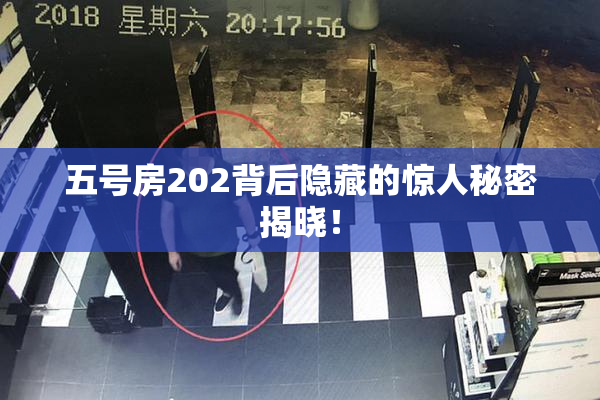 五号房202背后隐藏的惊人秘密揭晓！