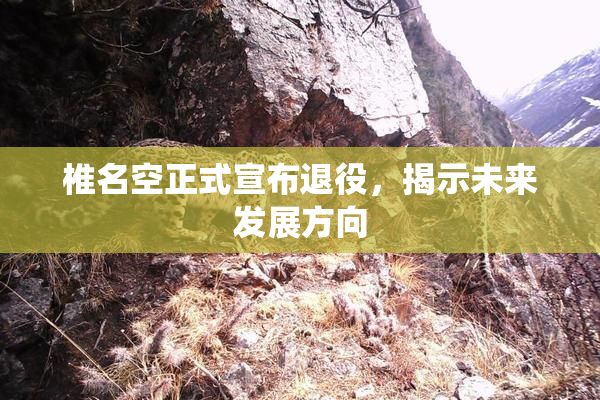 椎名空正式宣布退役，揭示未来发展方向