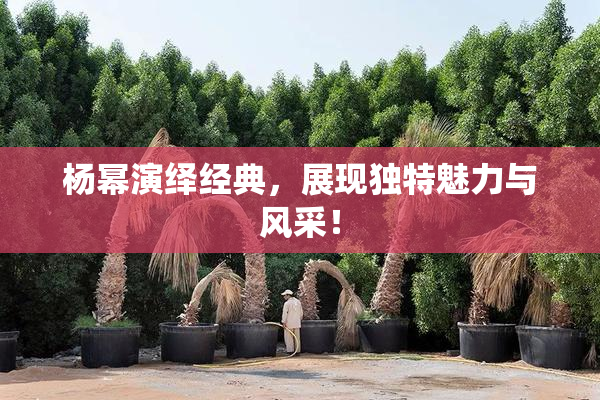 杨幂演绎经典，展现独特魅力与风采！