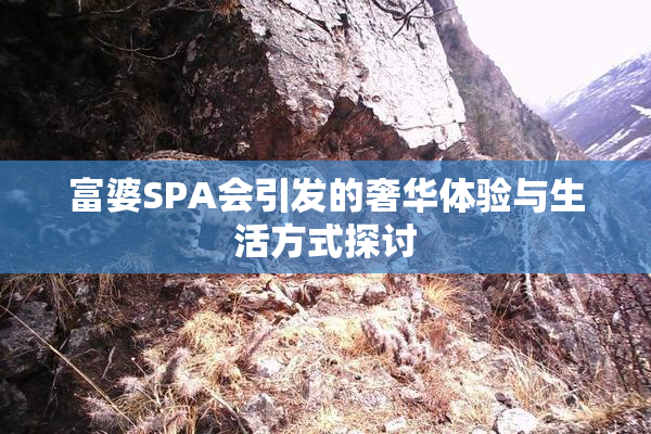 富婆SPA会引发的奢华体验与生活方式探讨