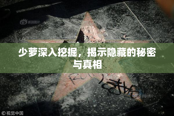 少萝深入挖掘，揭示隐藏的秘密与真相