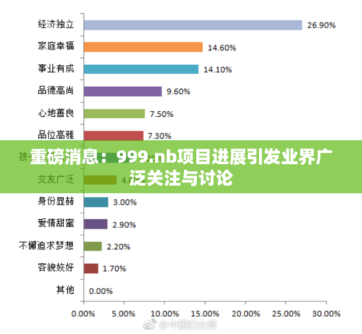 重磅消息：999.nb项目进展引发业界广泛关注与讨论