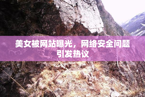 美女被网站曝光，网络安全问题引发热议