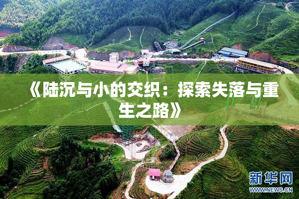 《陆沉与小的交织：探索失落与重生之路》