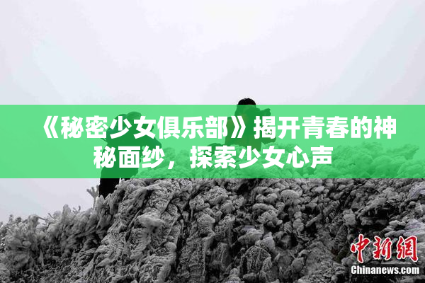 《秘密少女俱乐部》揭开青春的神秘面纱，探索少女心声