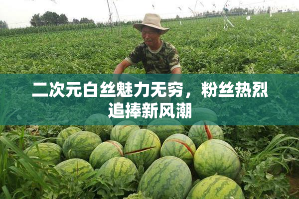 二次元白丝魅力无穷，粉丝热烈追捧新风潮