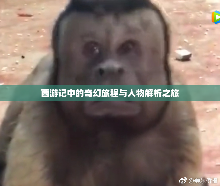 西游记中的奇幻旅程与人物解析之旅