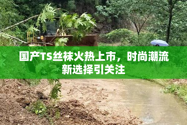 国产TS丝袜火热上市，时尚潮流新选择引关注