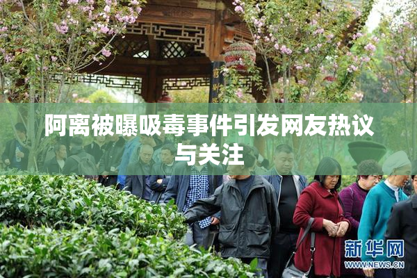 阿离被曝吸毒事件引发网友热议与关注