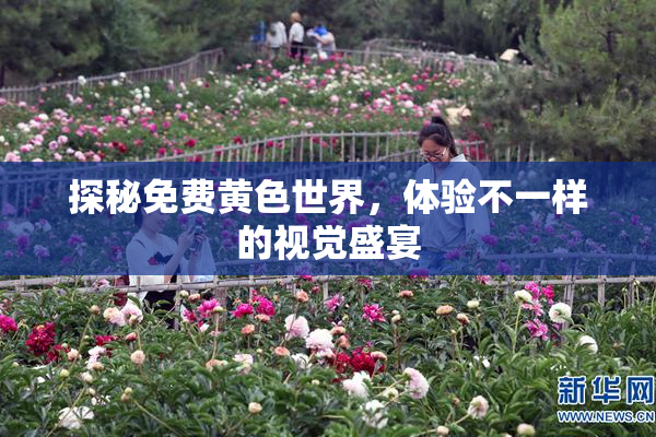探秘免费黄色世界，体验不一样的视觉盛宴