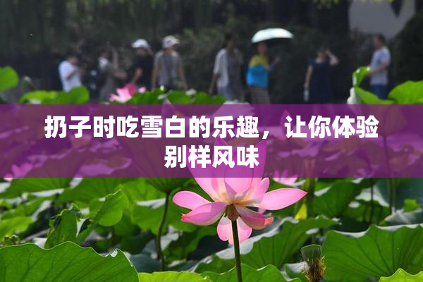 扔子时吃雪白的乐趣，让你体验别样风味