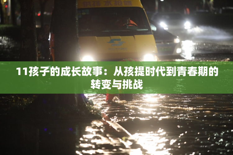 11孩子的成长故事：从孩提时代到青春期的转变与挑战