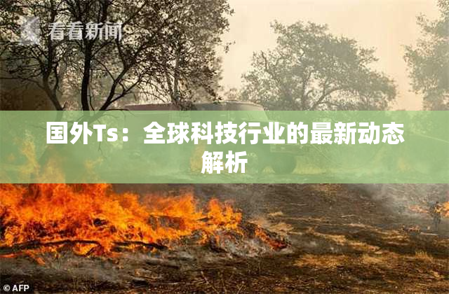 国外Ts：全球科技行业的最新动态解析