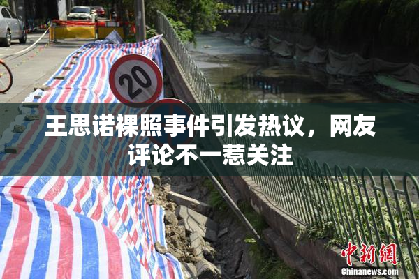 王思诺裸照事件引发热议，网友评论不一惹关注