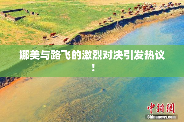 娜美与路飞的激烈对决引发热议！