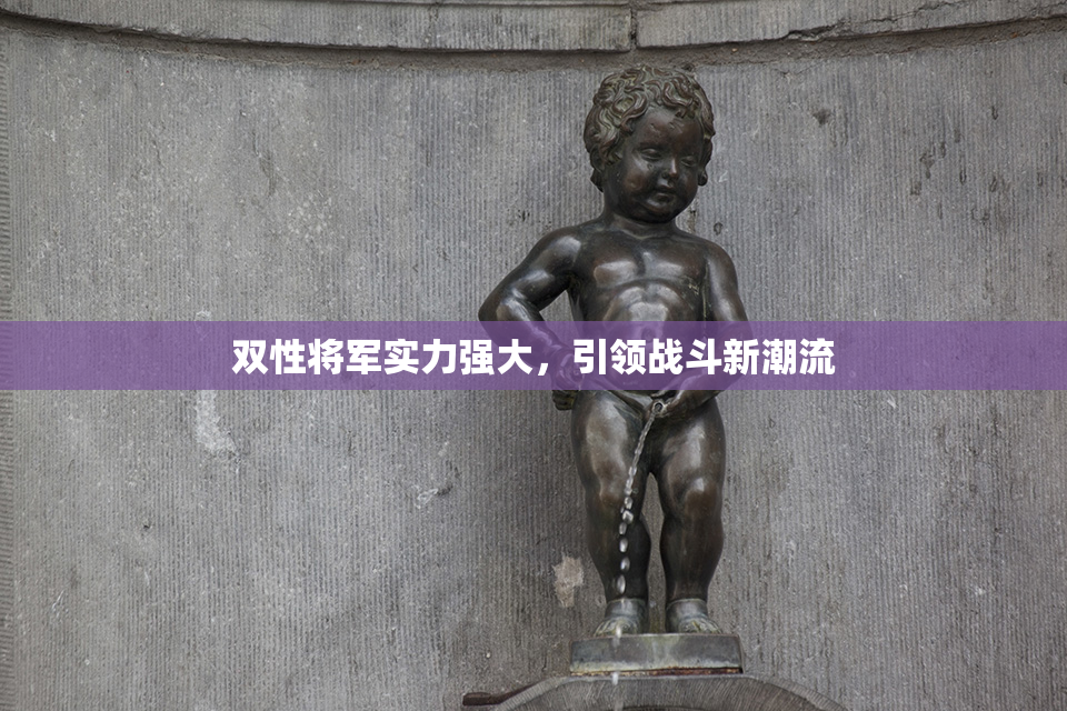 双性将军实力强大，引领战斗新潮流