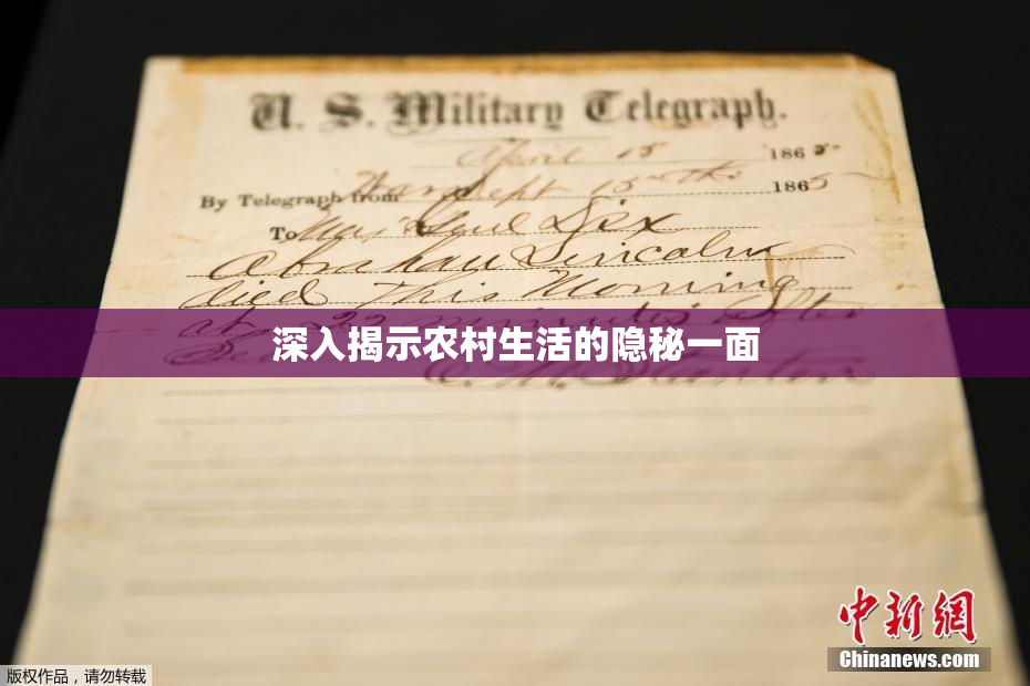 深入揭示农村生活的隐秘一面