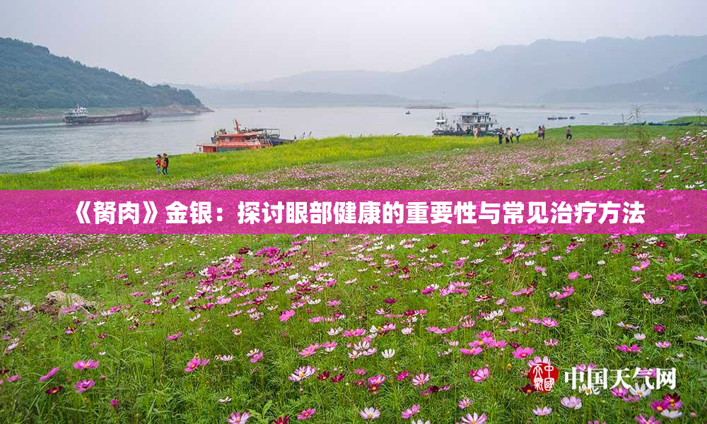《胬肉》金银：探讨眼部健康的重要性与常见治疗方法